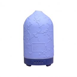 DBD241028